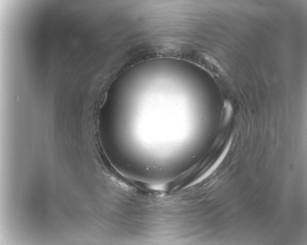 X0000071851345200607072251