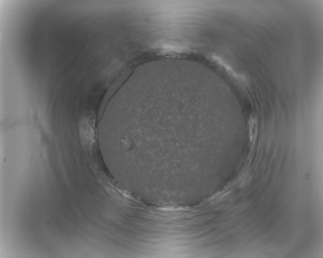 X0000071851348200607072251