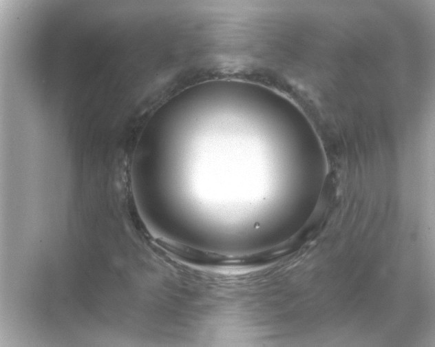 X0000071851349200607072251