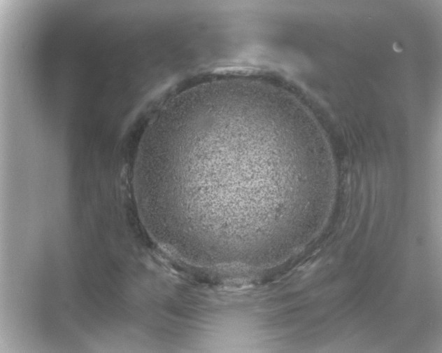 X0000071851351200607072251