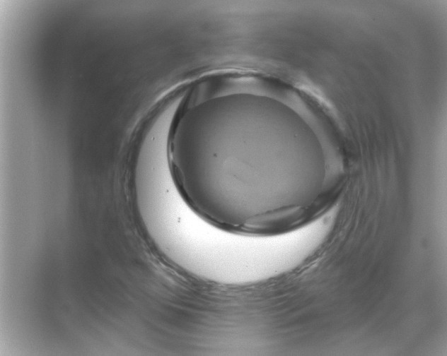 X0000071851352200607072251