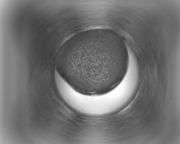 X0000071851353200607072251