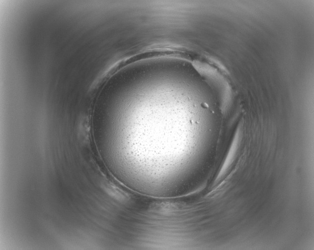 X0000071851355200607072251