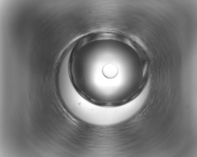 X0000071851356200607072251