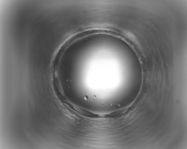 X0000071851360200607072250