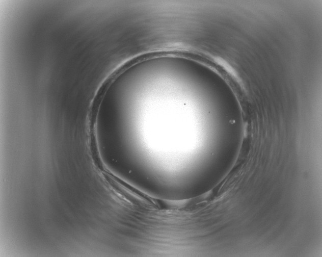 X0000071851364200607072250