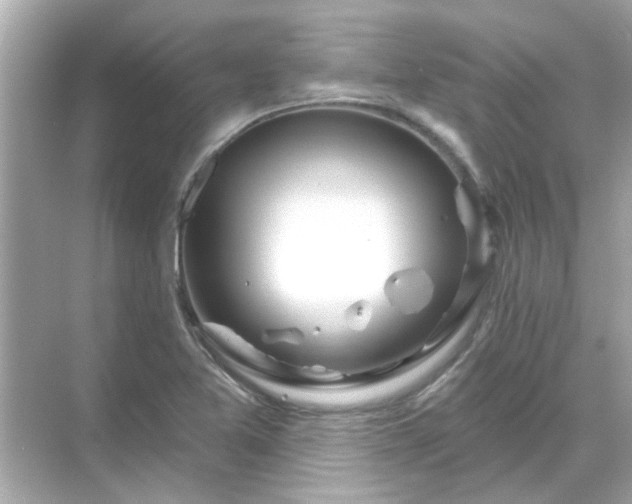 X0000071851365200607072250