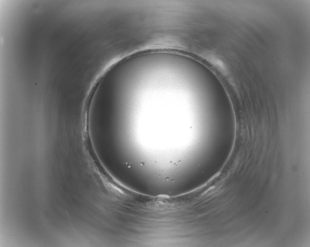 X0000071851366200607072250