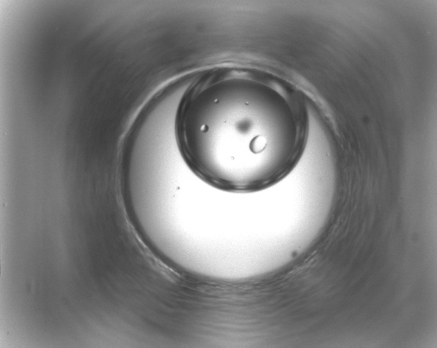 X0000071851368200607072250