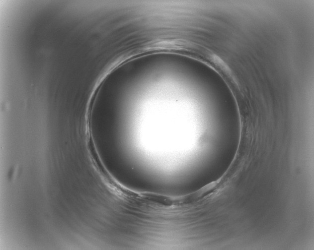 X0000071851370200607072250