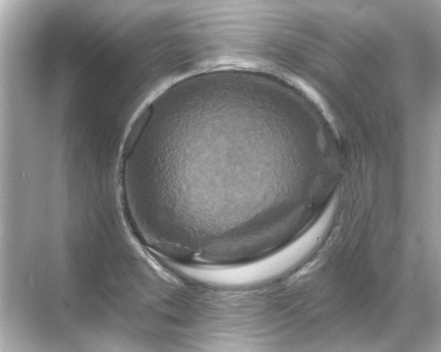 X0000071851373200607072250