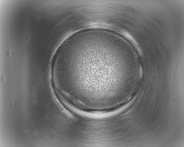 X0000071851376200607072250