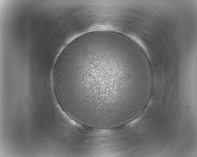 X0000071851382200607072250