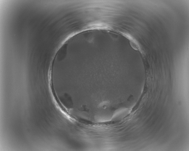 X0000071851383200607072250