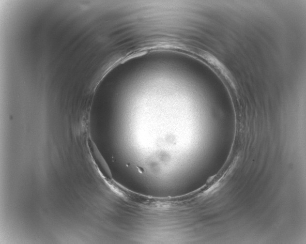 X0000071851385200607072250