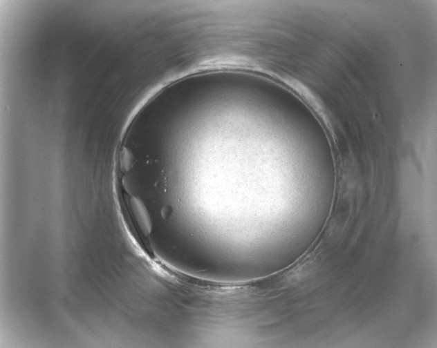 X0000071851390200607072250