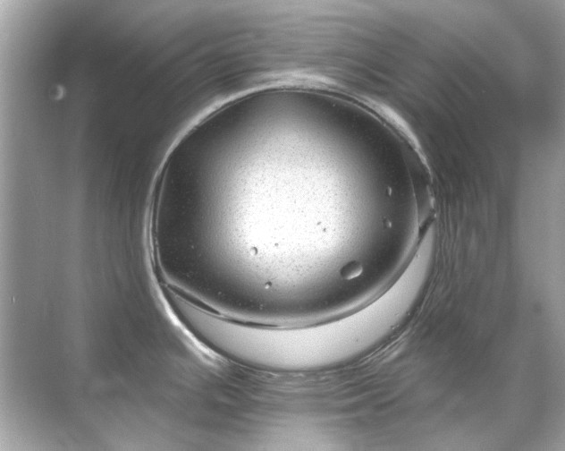 X0000071851391200607072250