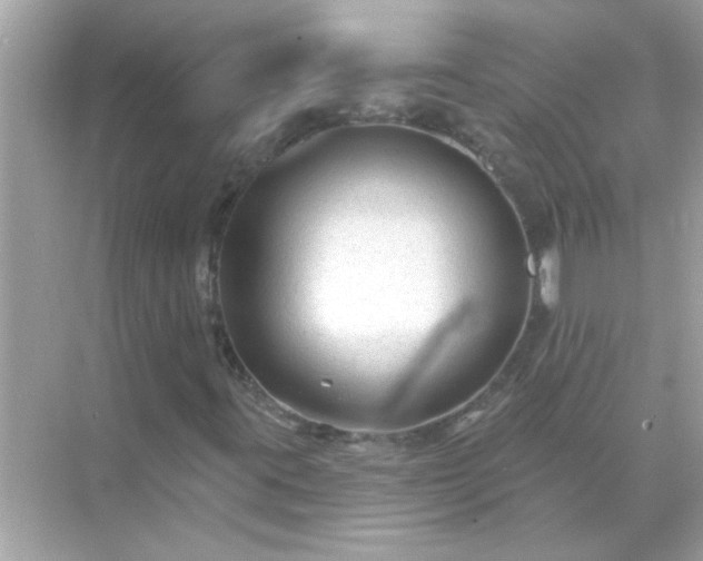 X0000071851395200607072249