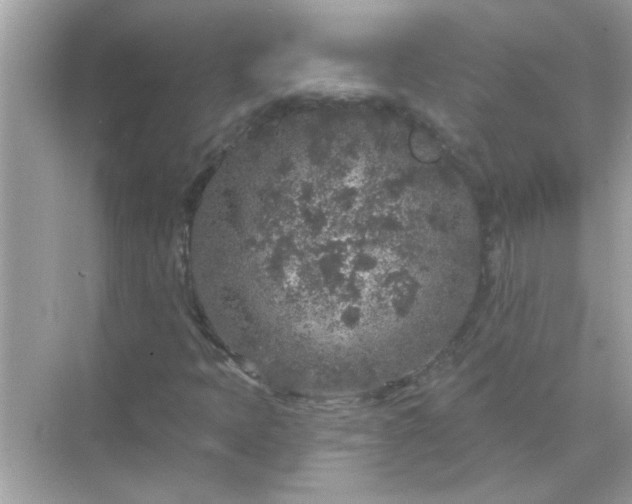 X0000071851397200607072249