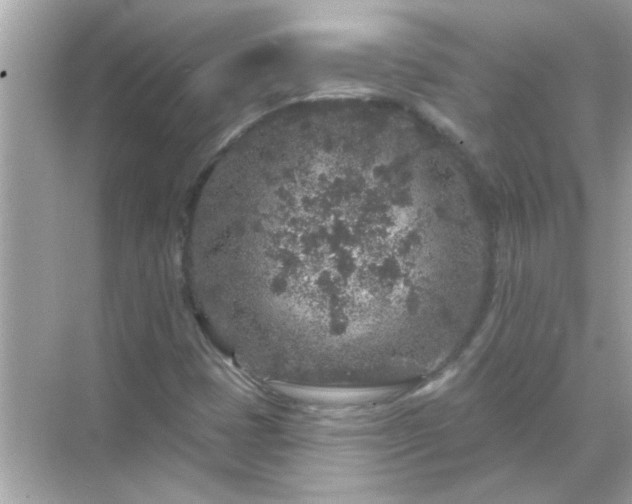 X0000071851401200607072249