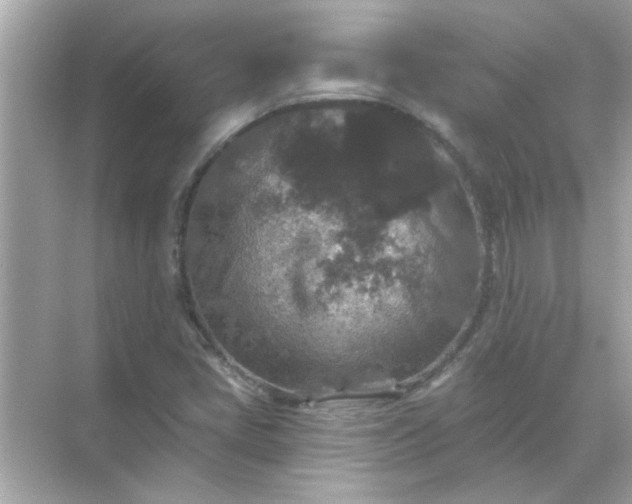 X0000071851405200607072249