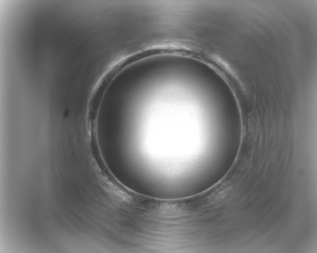 X0000071851408200607072249