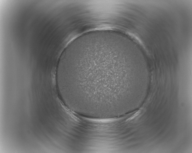 X0000071851409200607072249