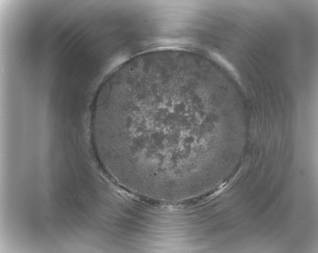 X0000071851411200607072249