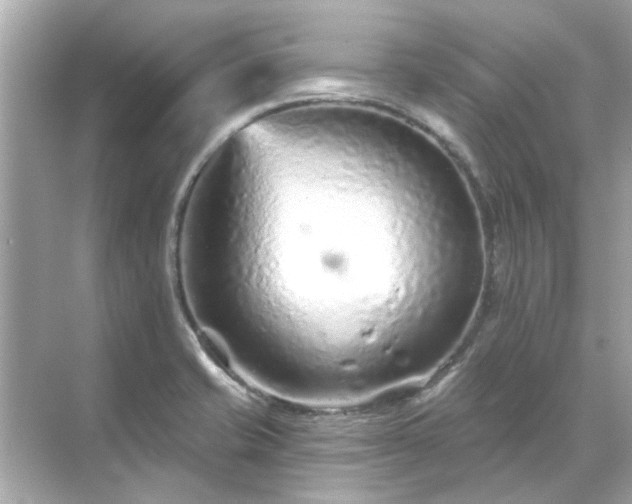 X0000071851421200607072250