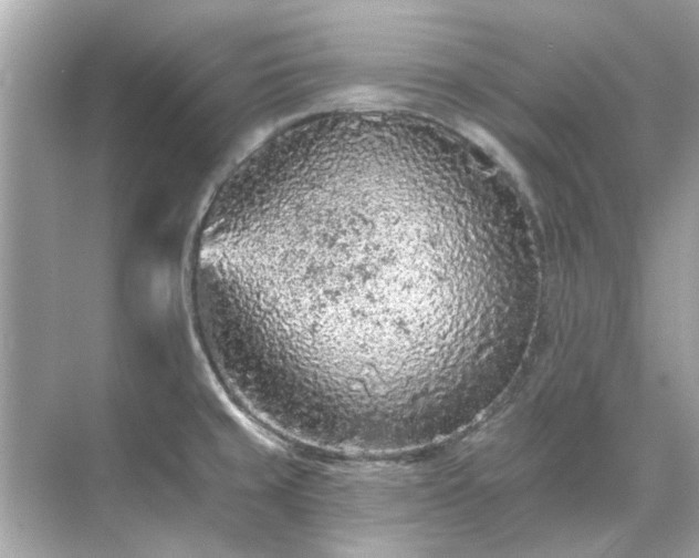 X0000071851429200607072250