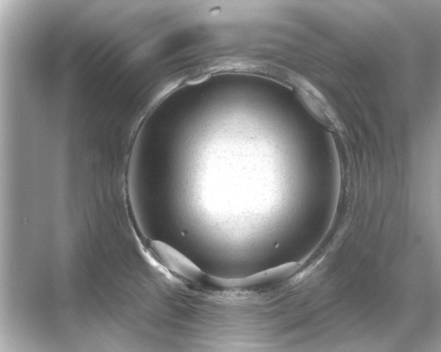 X0000071851433200607072250