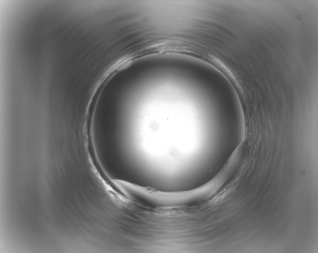 X0000071851434200607072250