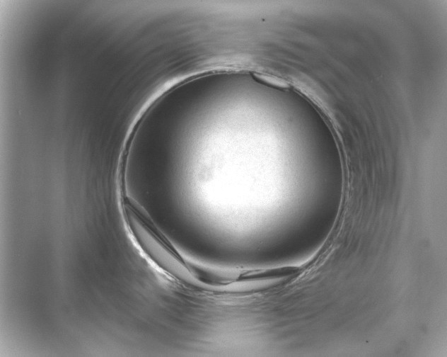 X0000071851440200607072250