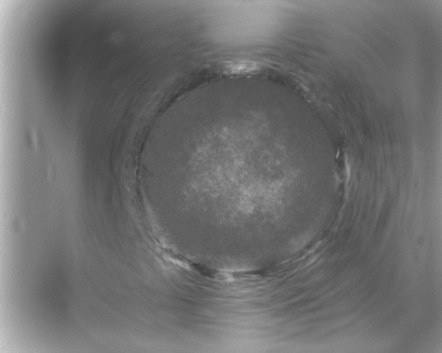 X0000071851441200607072249