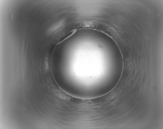 X0000071851442200607072249