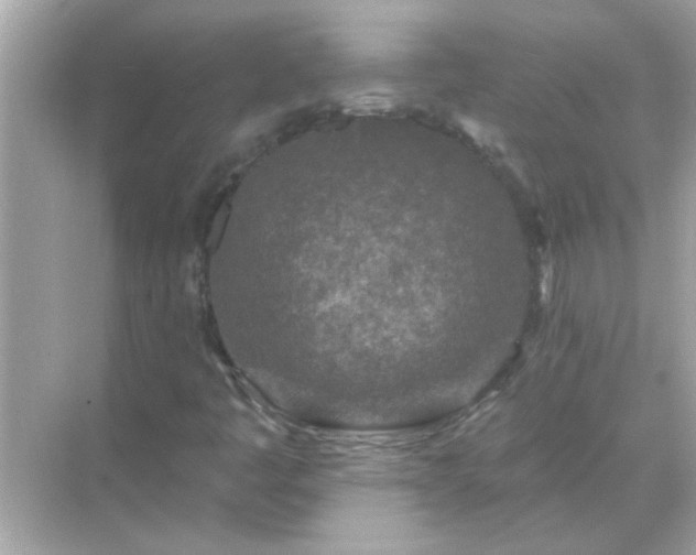 X0000071851445200607072249