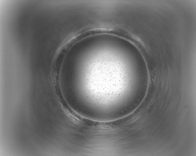 X0000071851448200607072249