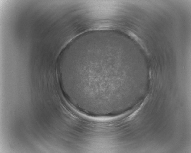 X0000071851449200607072249