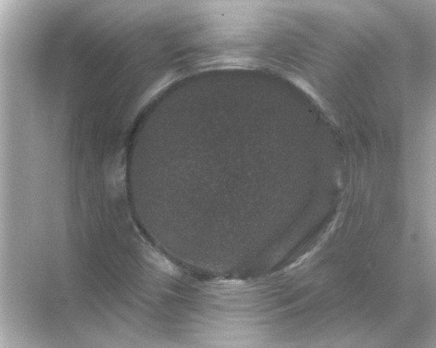 X0000071851450200607072249