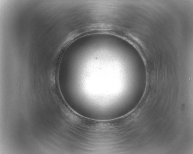 X0000071851451200607072249