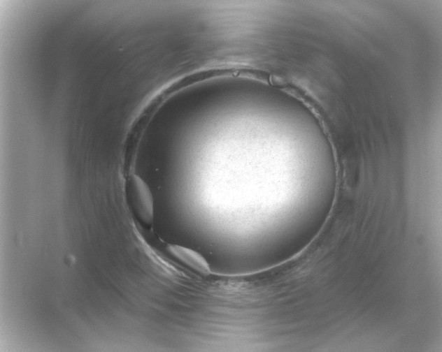 X0000071851452200607072249