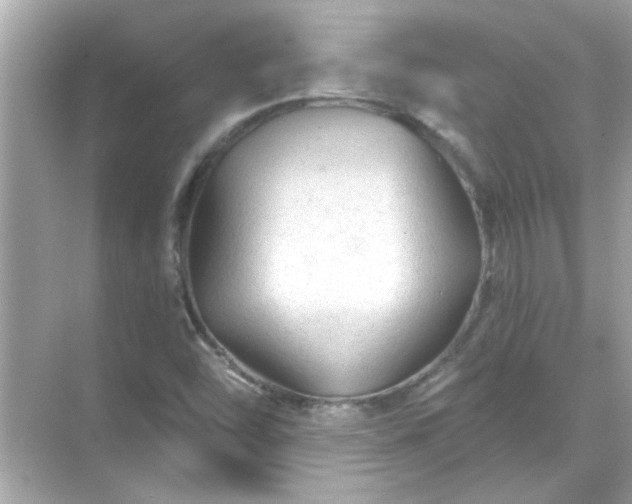 X0000071851454200607072249