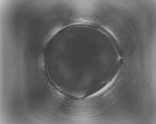 X0000071851455200607072249