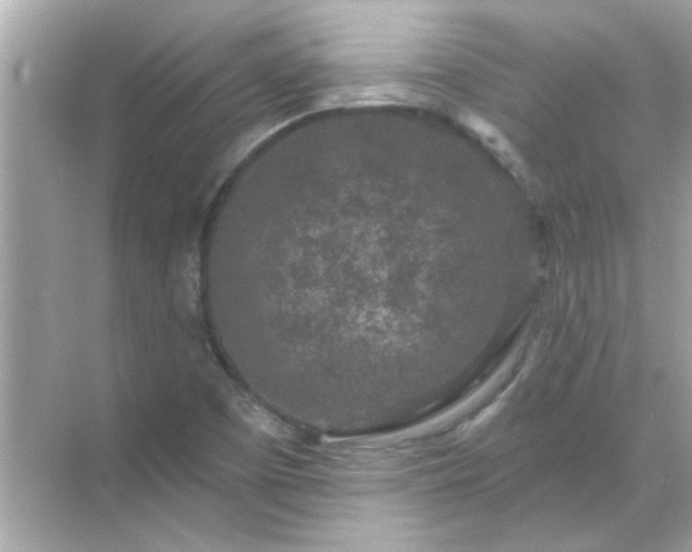 X0000071851457200607072249