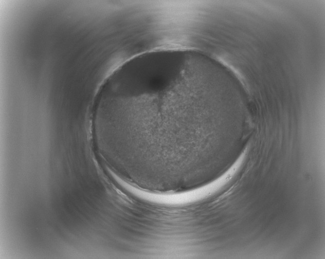 X0000071851459200607072249