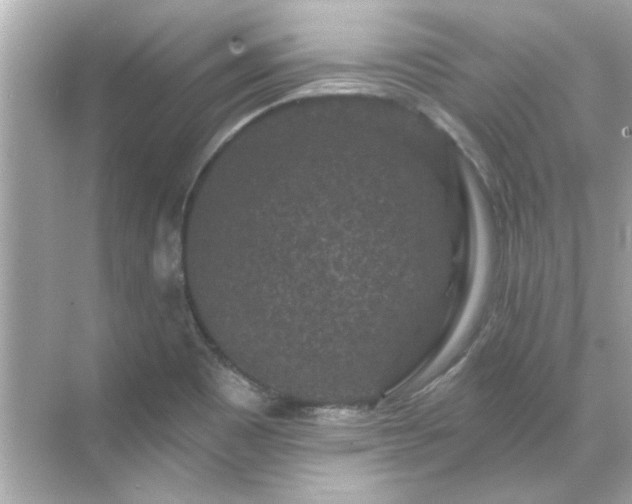 X0000071851465200607072249