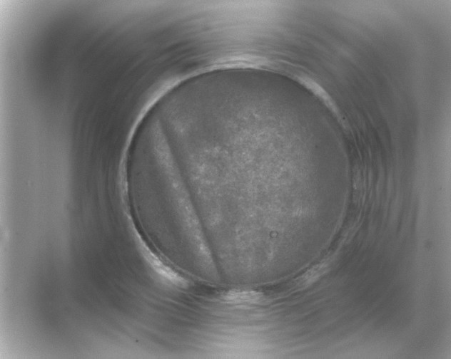 X0000071851466200607072249