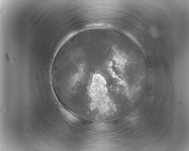 X0000071851474200607072249