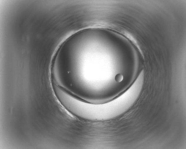 X0000071851480200607072248