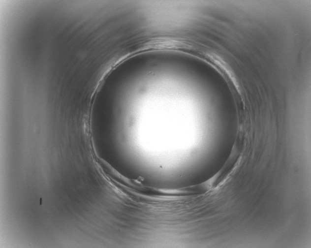 X0000071851481200607072248